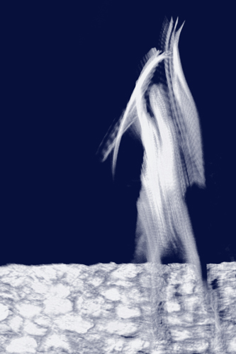 Furtifs-photographie-04